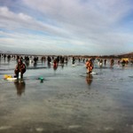  ����� � ������� ���������� ����, ���� ������� ������� ���� ����� ���������������� vladivostok vl �������������� ������